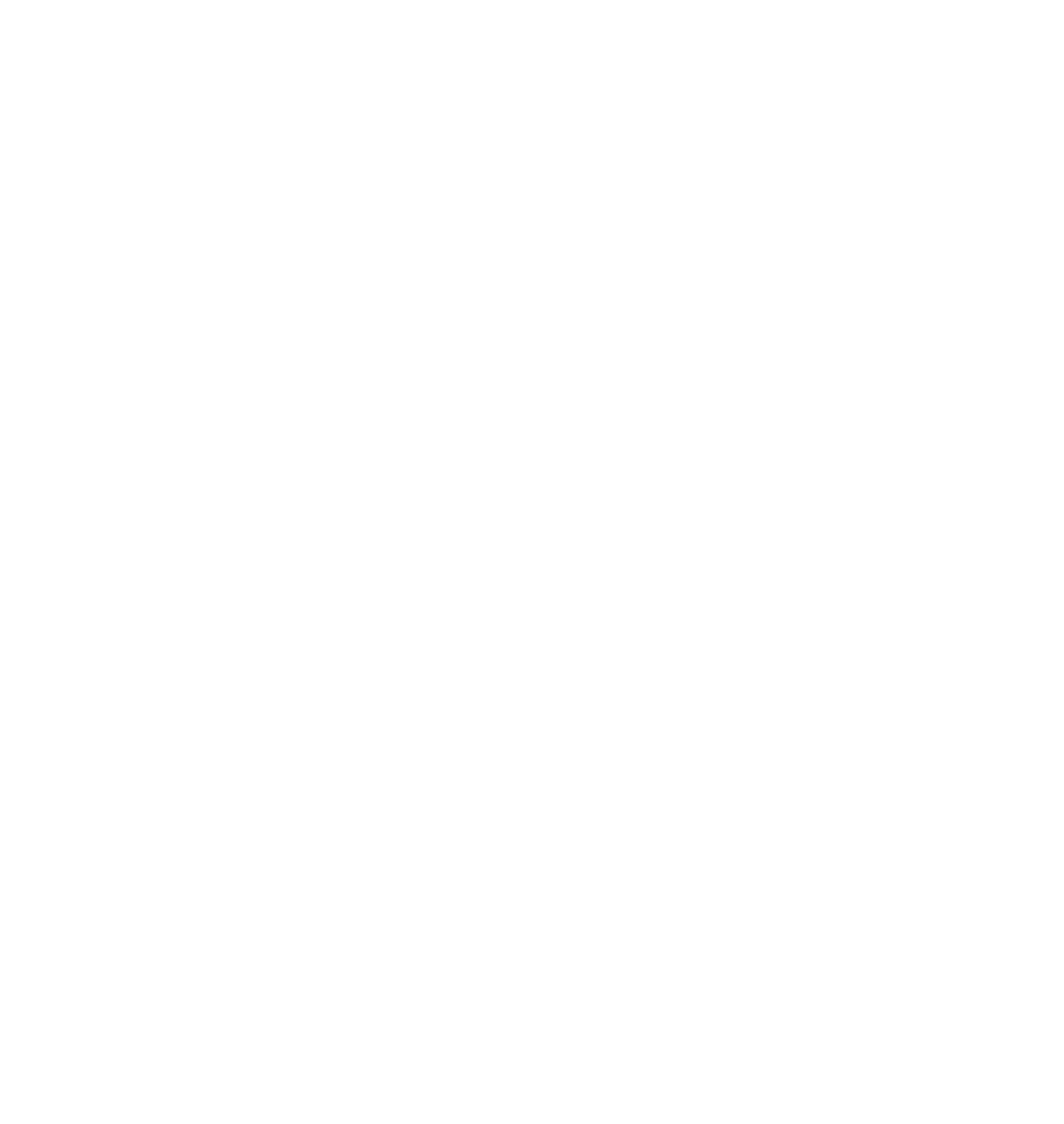 Mauriennisez vous association logo