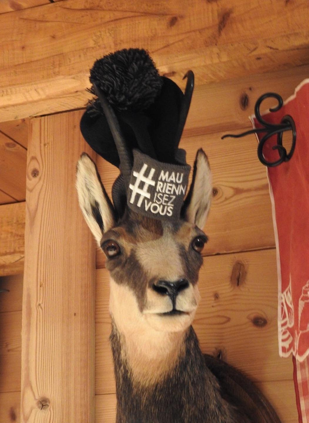2018, un bonnet et un patch #MauriennisezVous posés sur une tête de chamois empaillée, dans un chalet.