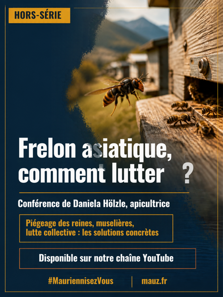 Visuel du hors-série « Frelon asiatique, comment lutter ? » : un frelon en vol près d'une ruche, des abeilles sur la planche d'envol